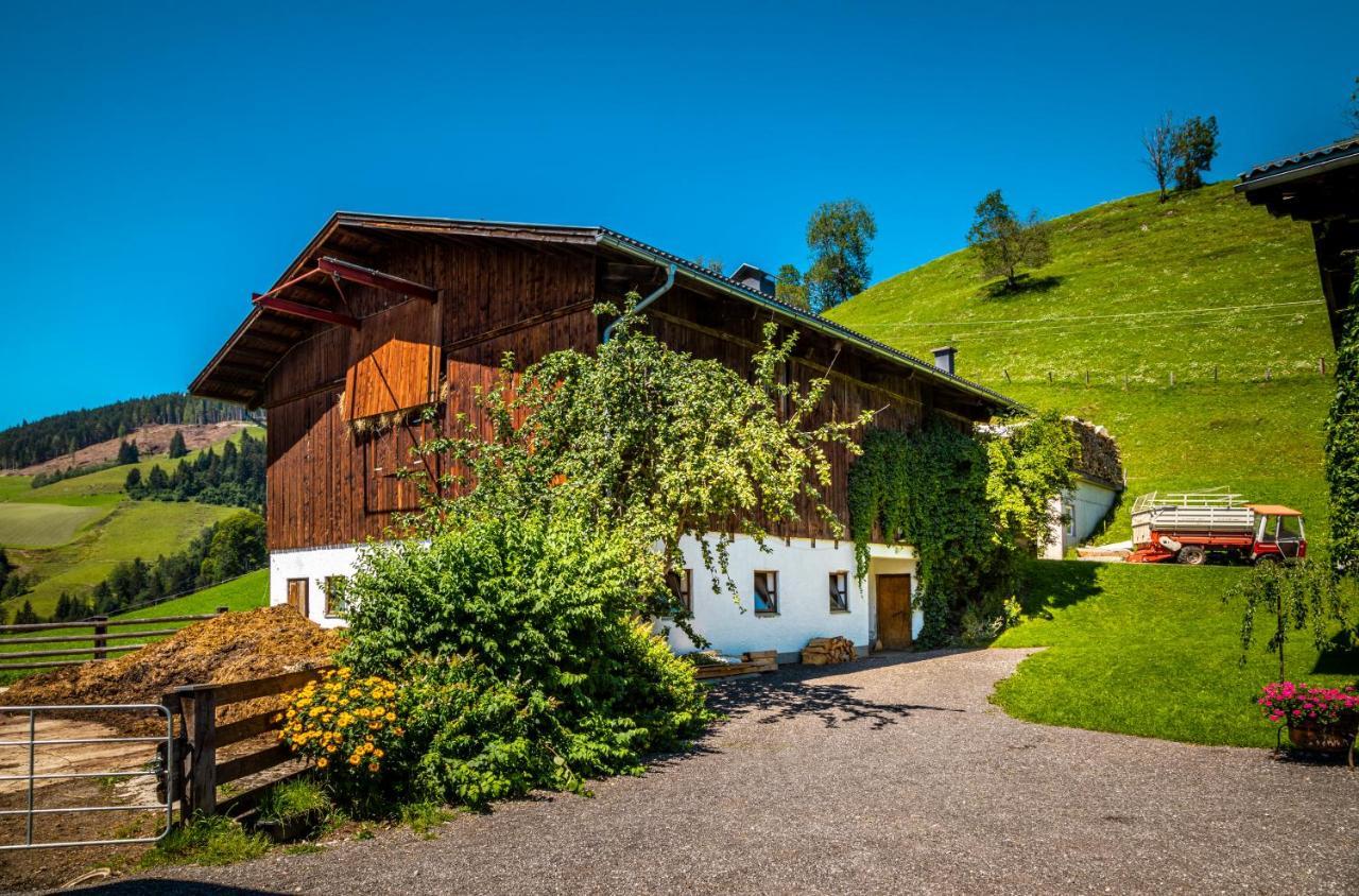 ザンクト・ヨーハン・イム・ポンガウ Haus Lindbichlヴィラ エクステリア 写真